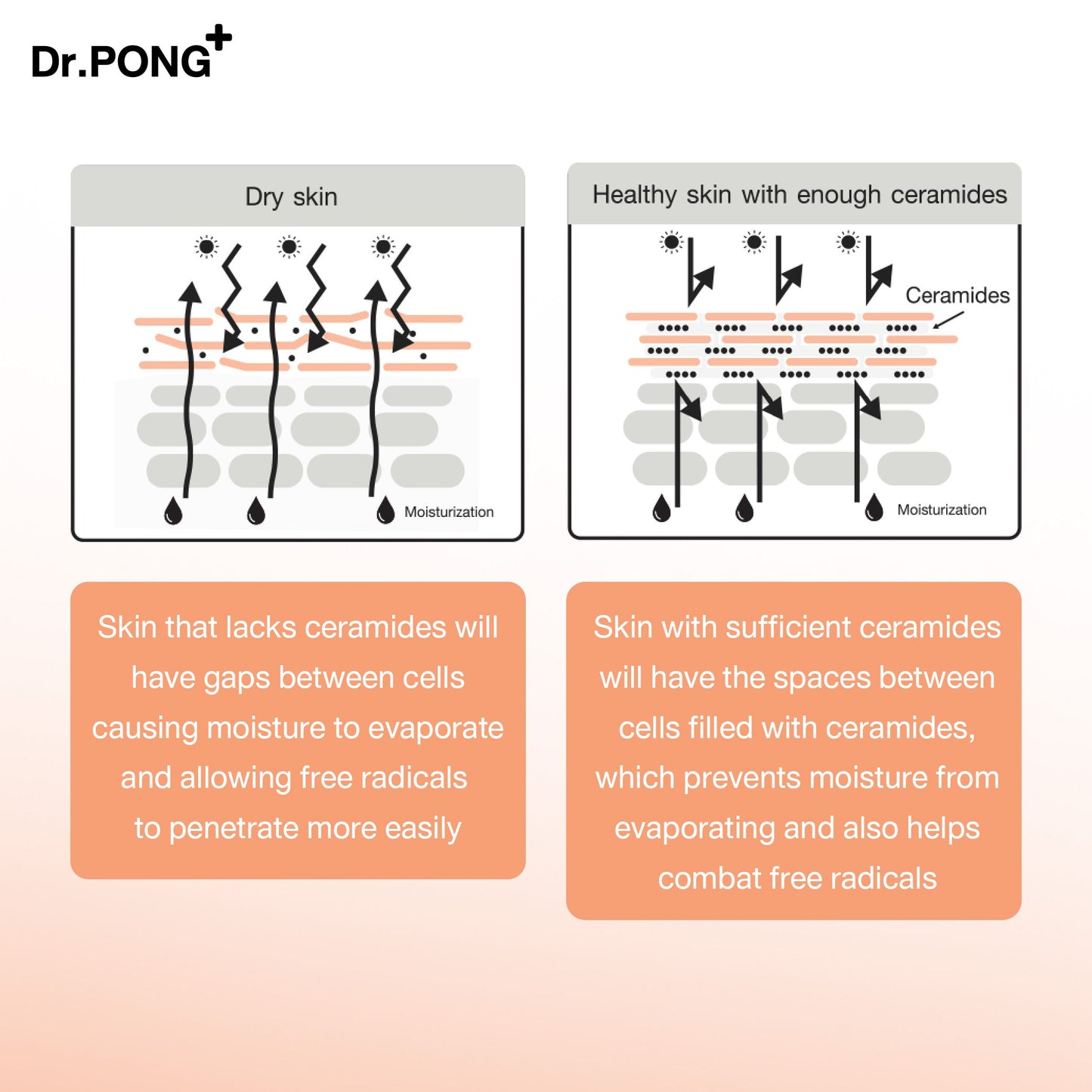 Dr.PONG ADVANCED SKIN DETOXIFYING CREAM